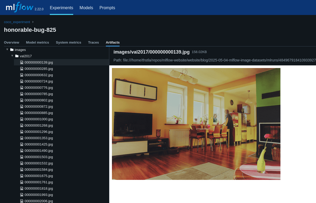 Tracking Image Datasets with MLflow